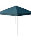 Decathlon Quechua Arpenaz Camping Beach Canopy Shelter